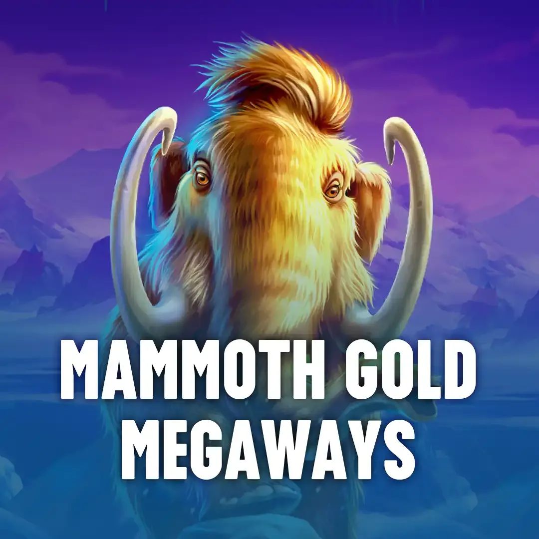 355bet login